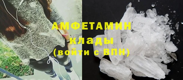 дмт Алексин