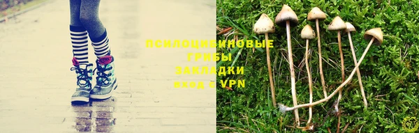 дмт Алексин